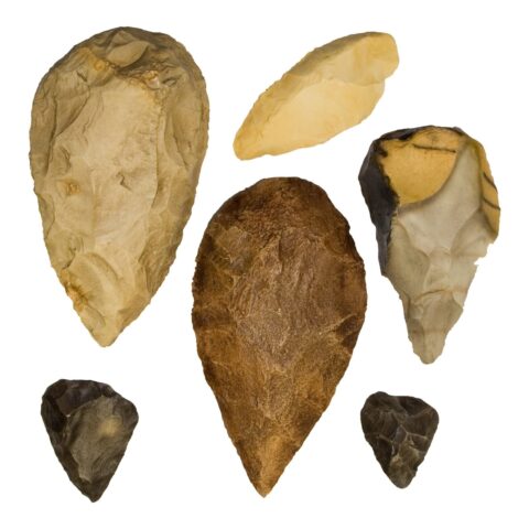 Replica Fossil Hominid Tools - Set of 6
