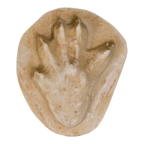 Replica American Mink Negative Footprint