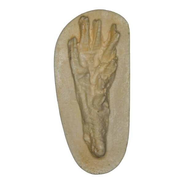 Replica Muskrat Negative Footprint