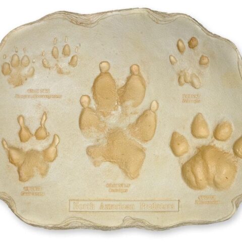 Replica Large Predator Footprint Plaque