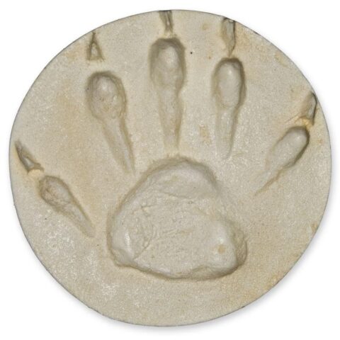 Replica Raccoon Negative Footprint