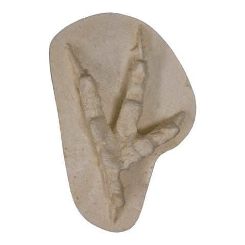 Replica Great Horned Owl Negative Footprint