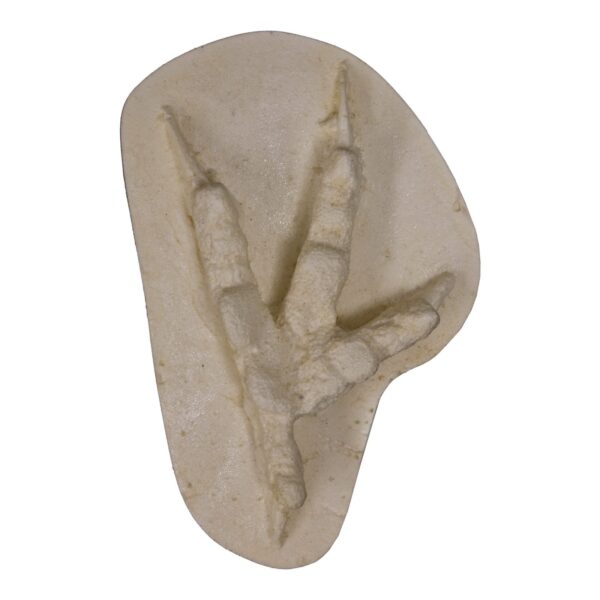 Replica Great Horned Owl Negative Footprint