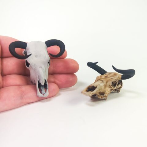 Aurochs Skull Replica - 1:24 Scale