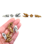 Gray Wolf Skull Replica – 1:12 Scale