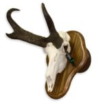 Skull Plaque
