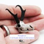 Pronghorn Skull Replica – 1:12 Scale