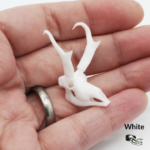 Pronghorn Skull Replica – 1:12 Scale