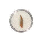 Pterosaur Tooth Display Box