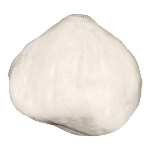 Replica Human Patella