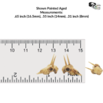 Rhebok Skull Replica – 1:12 Scale (Set of 5)