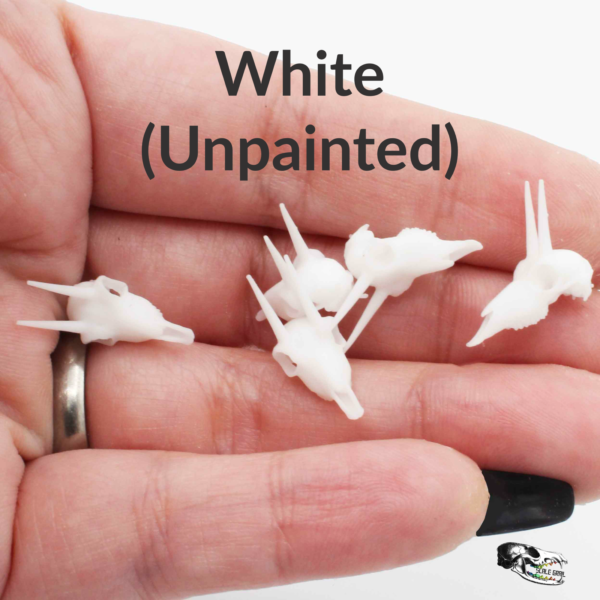 Rhebok Skull Replica – 1:12 Scale (Set of 5)