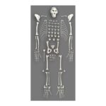 Replica Rhesus Monkey Skeleton