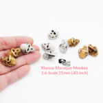 Rhesus Macaque Skull Replica – 1:6 Scale (Set of 5)