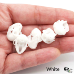Rhesus Macaque Skull Replica – 1:6 Scale (Set of 5)