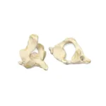 Real Research Quality Human Vertebrae