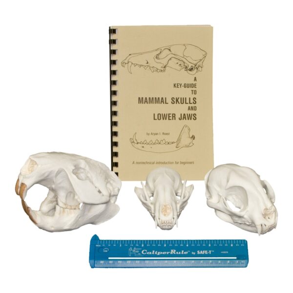 Learning Kit – Small Mammal Dietary