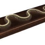 Real Non-venomous Snake Skeleton – Economy