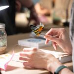 Entomology STEM Pinning Kit