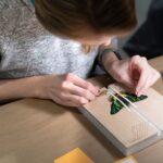 Entomology STEM Pinning Kit