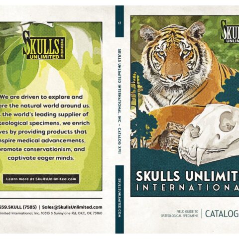 Skulls Unlimited Catalog (Vol. 17)