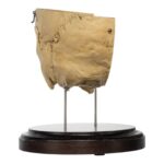 Real Human Partial Skull on Stand – 264 g