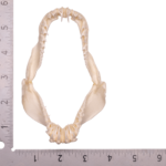 Real Crocodile Shark Jaw (3.4″)