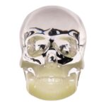Real Black Scorpion in Acrylic Skull Magnet – Glow