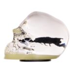 Real Black Scorpion in Acrylic Skull Magnet – Glow