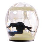 Real Black Scorpion in Acrylic Skull Magnet – Glow