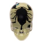 Real Black Scorpion in Acrylic Skull Magnet – Glow