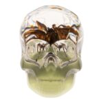 Real Spider and Web in Acrylic Skull Magnet – Glow