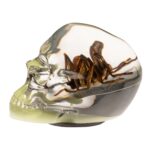 Real Spider and Web in Acrylic Skull Magnet – Glow