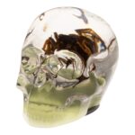 Real Spider and Web in Acrylic Skull Magnet – Glow