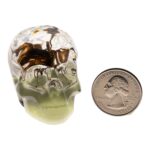 Real Spider and Web in Acrylic Skull Magnet – Glow