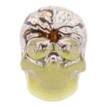 Real Spider and Web in Acrylic Skull – Glow