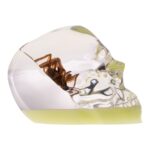Real Spider and Web in Acrylic Skull – Glow