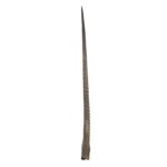 Real Gemsbok Horn – Single