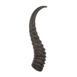 Real Springbok Horn – Single