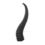 Real Springbok Horn – Single