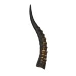 Real Blesbok Horn – Single