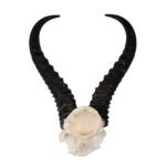 Real Springbok Skull Plate