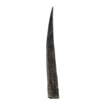 Real Steenbok Horn – Single