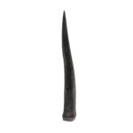 Real Steenbok Horn – Single