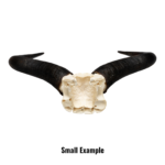 Real Blue Wildebeest Skull Plate