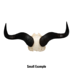 Real Blue Wildebeest Skull Plate
