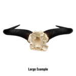 Real Blue Wildebeest Skull Plate
