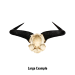 Real Blue Wildebeest Skull Plate