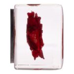Real Red Rose in Acrylic Cube Magnet