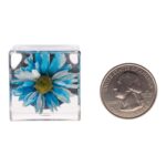 Real Daisy in Acrylic Cube Magnet – Blue